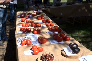 Feria del tomate, sep 2022